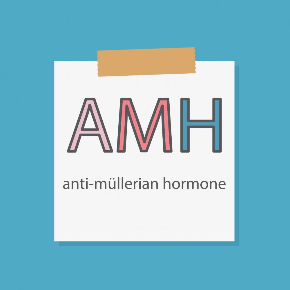 【Q&A】超低AMHの妊活方法－北村先生