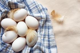 【Q&A】採卵と移植の進め方－浅田先生
